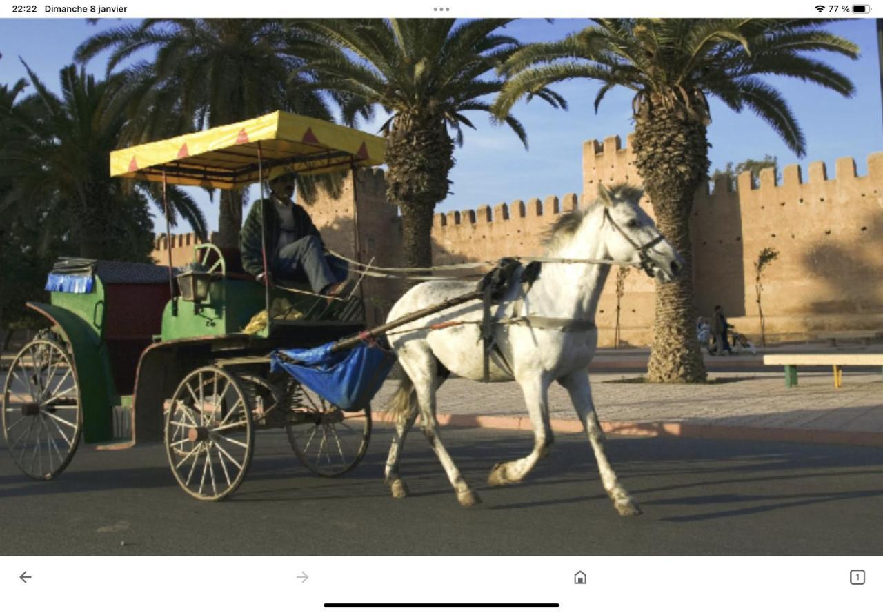 Dar El Hana 타라우단트 외부 사진